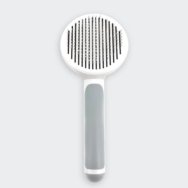 The Self-Cleaning Brush