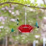 Mary's Hummingbird Feeder with Perch & Built-in Ant Moat (12 oz, 30 Ports) - Image 2