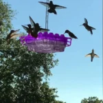 Mary's Hummingbird Feeder Purple Variant in Action