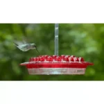 Mary's Hummingbird Feeder with Perch & Built-in Ant Moat (12 oz, 30 Ports) - Image 3